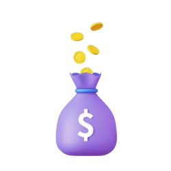Money Savings Bag with Coins